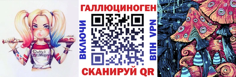 где можно купить Палласовка Псилоцибиновые грибы Psilocybe